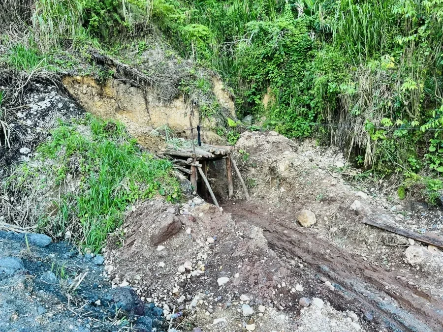 Vegetation surrounding a Larimar mining area.