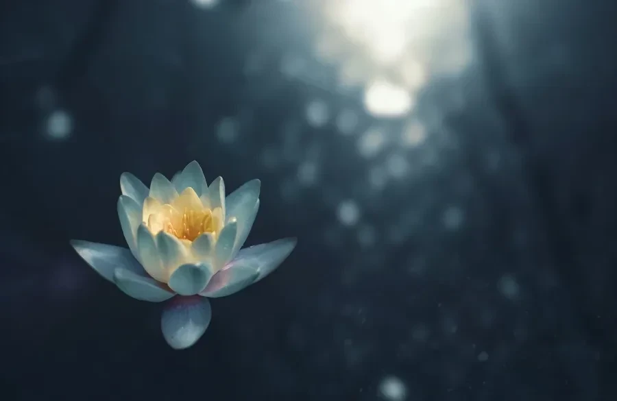 A person meditating beside the sea.